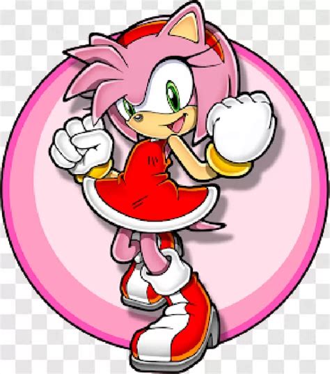 amy rose rose|amy rose symbol.